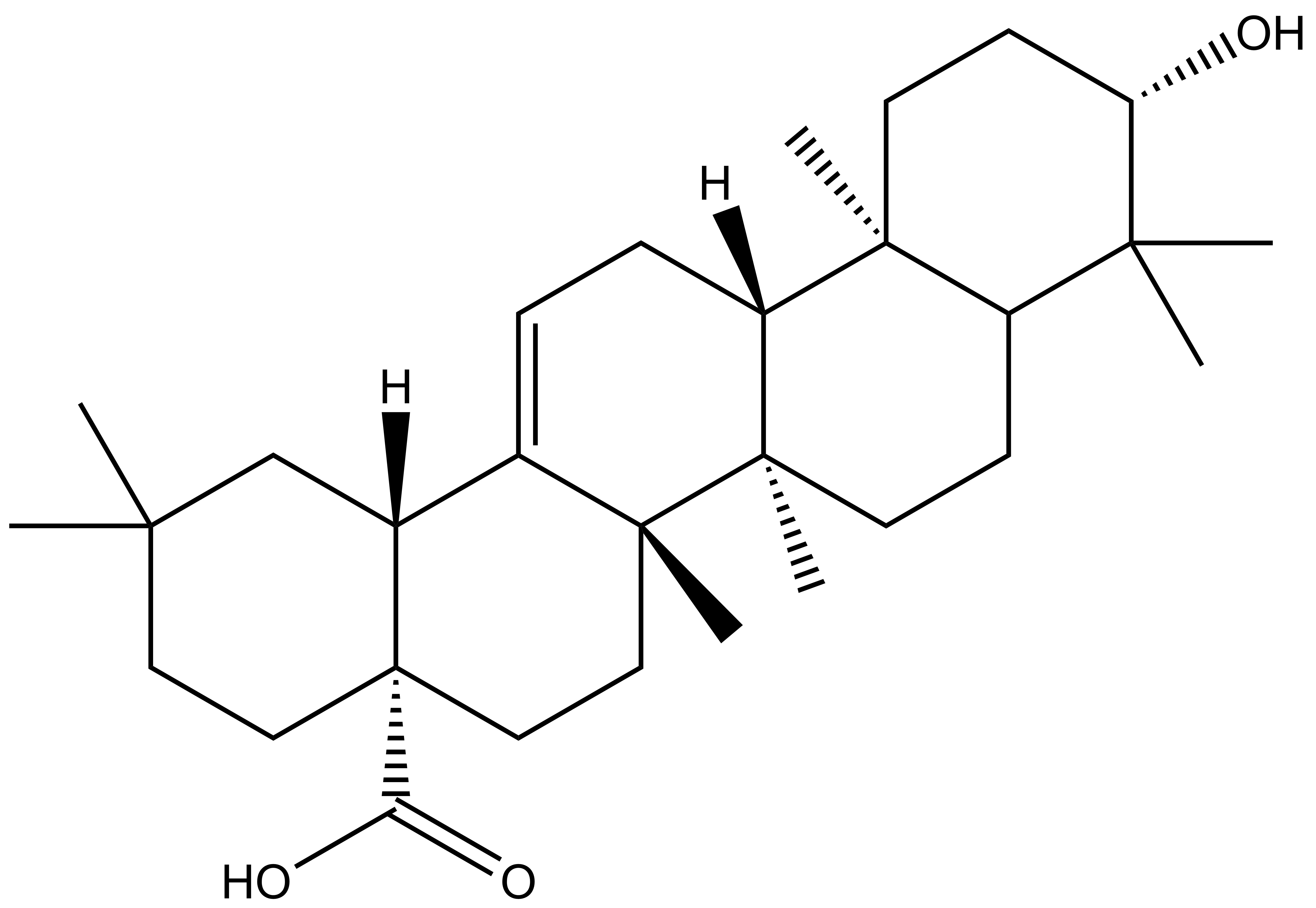 Oleanolic Acid