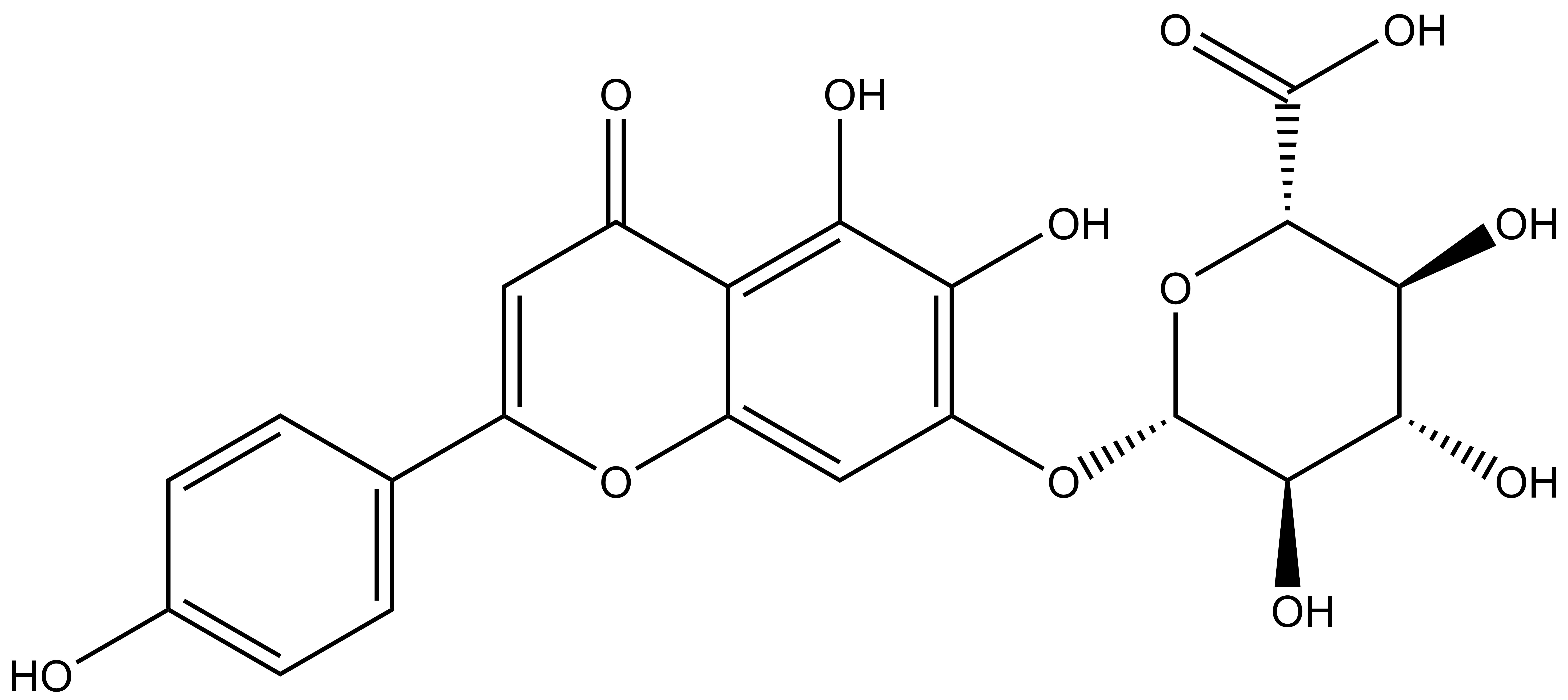 Scutellarin
