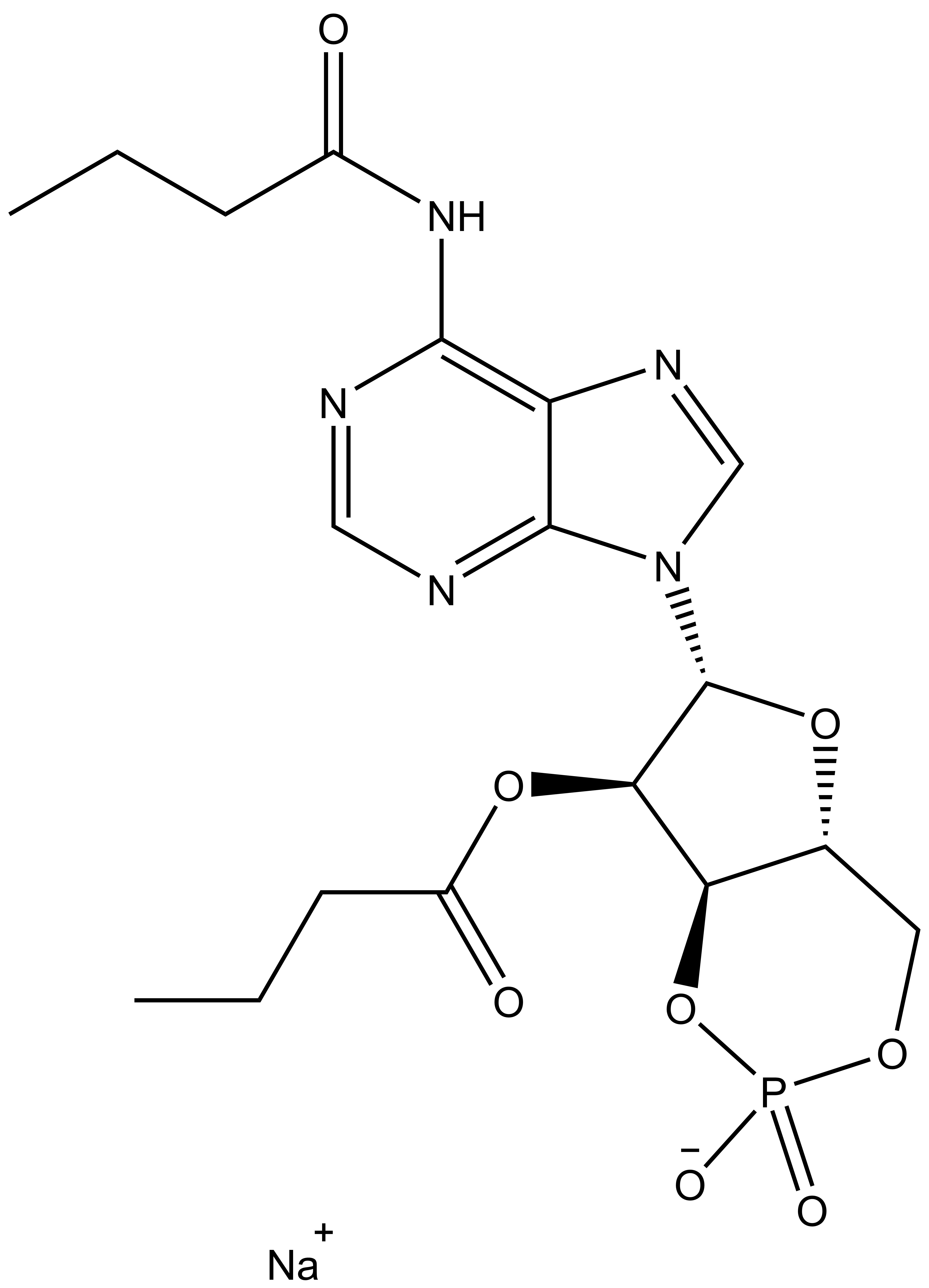 Bucladesine sodium