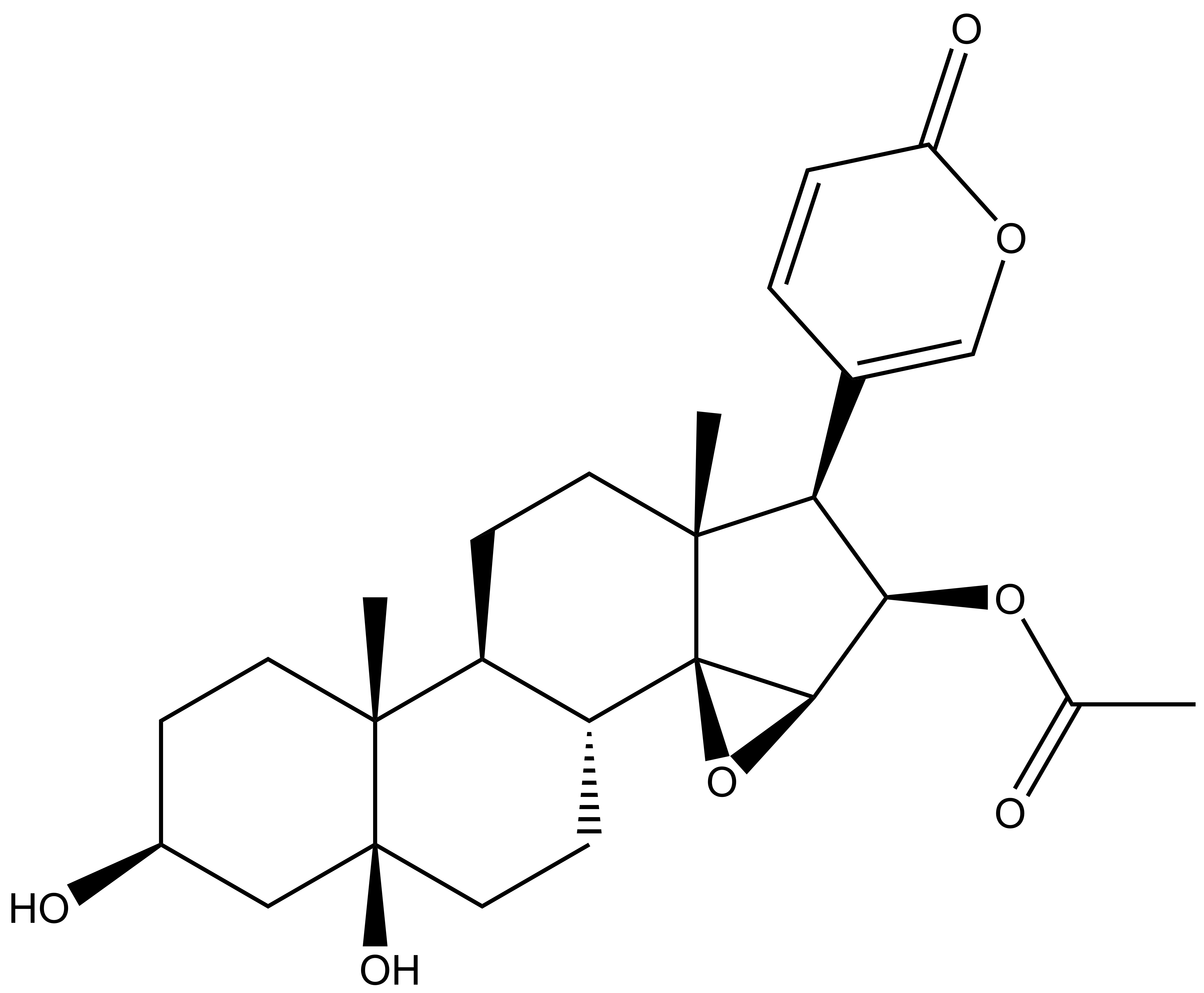 Cinobufotalin