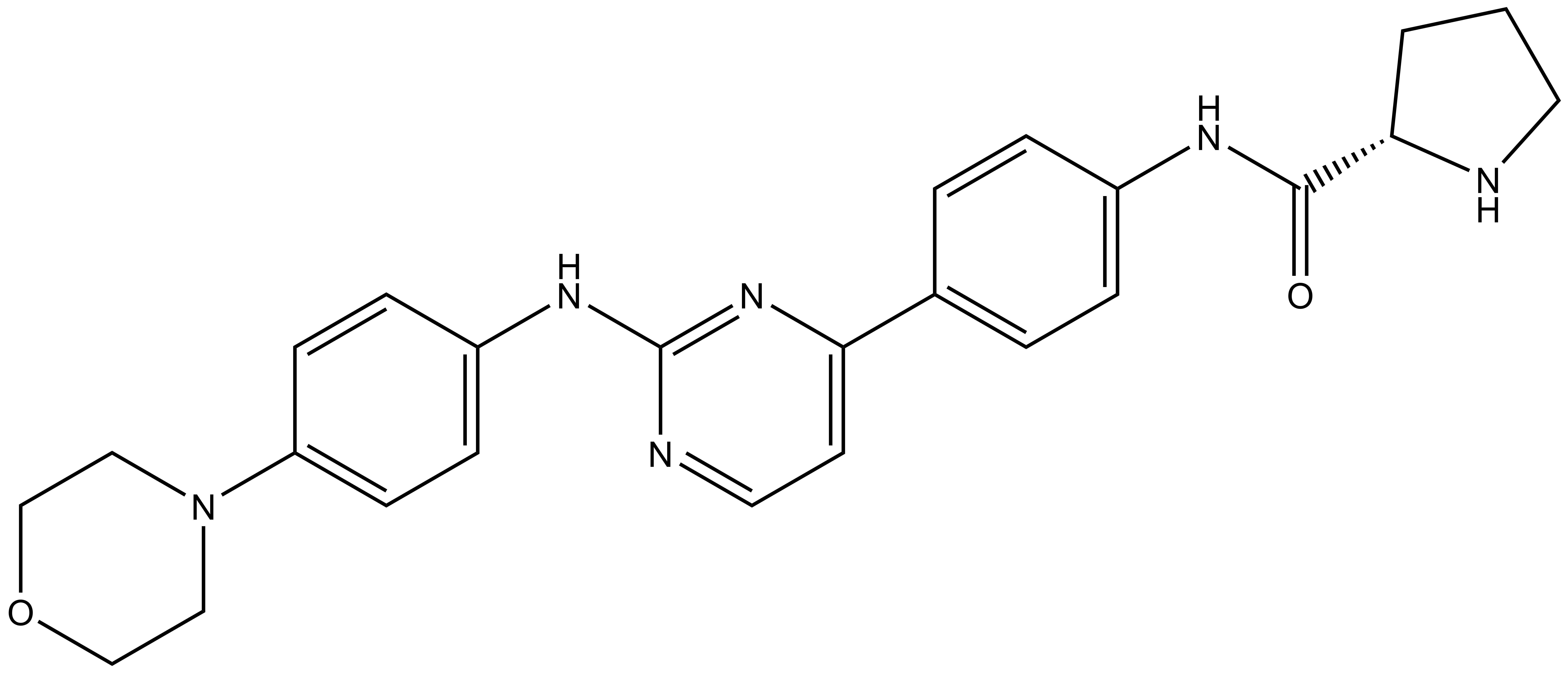 XL019