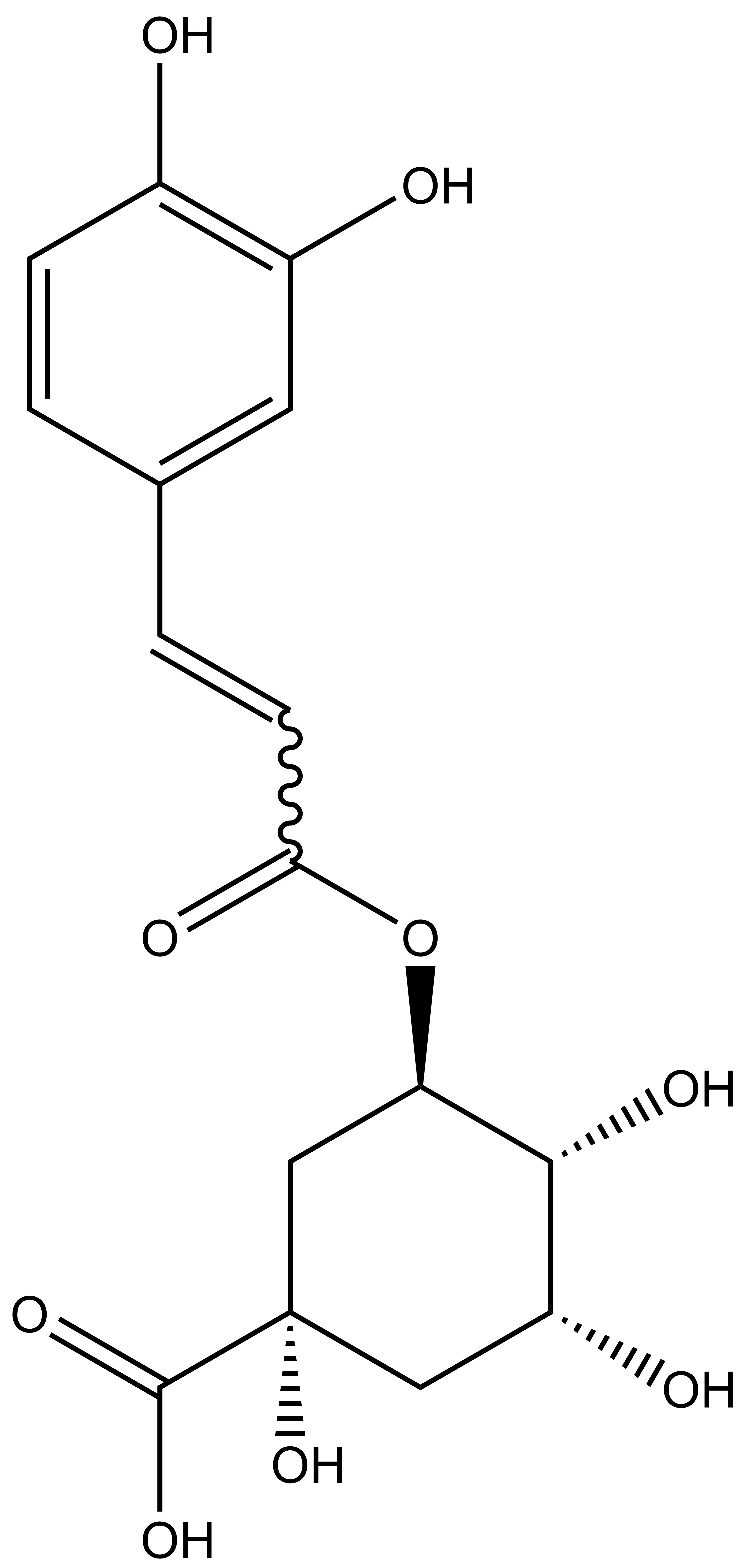Chlorogenic acid