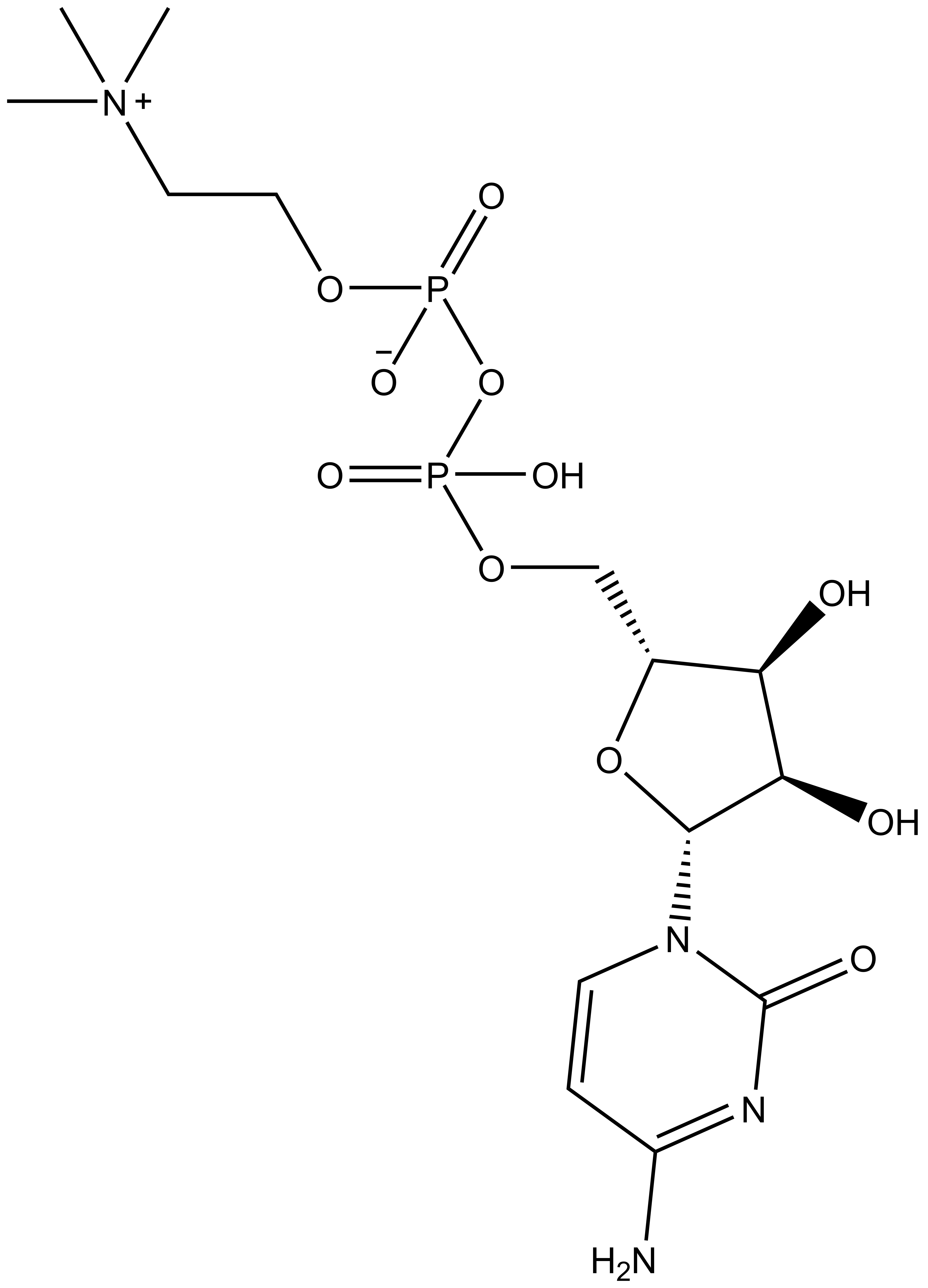 Citicoline