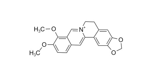Berberine