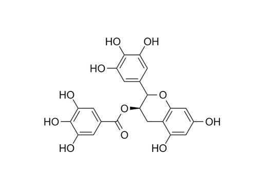 (-)-Epigallocatechin gallate