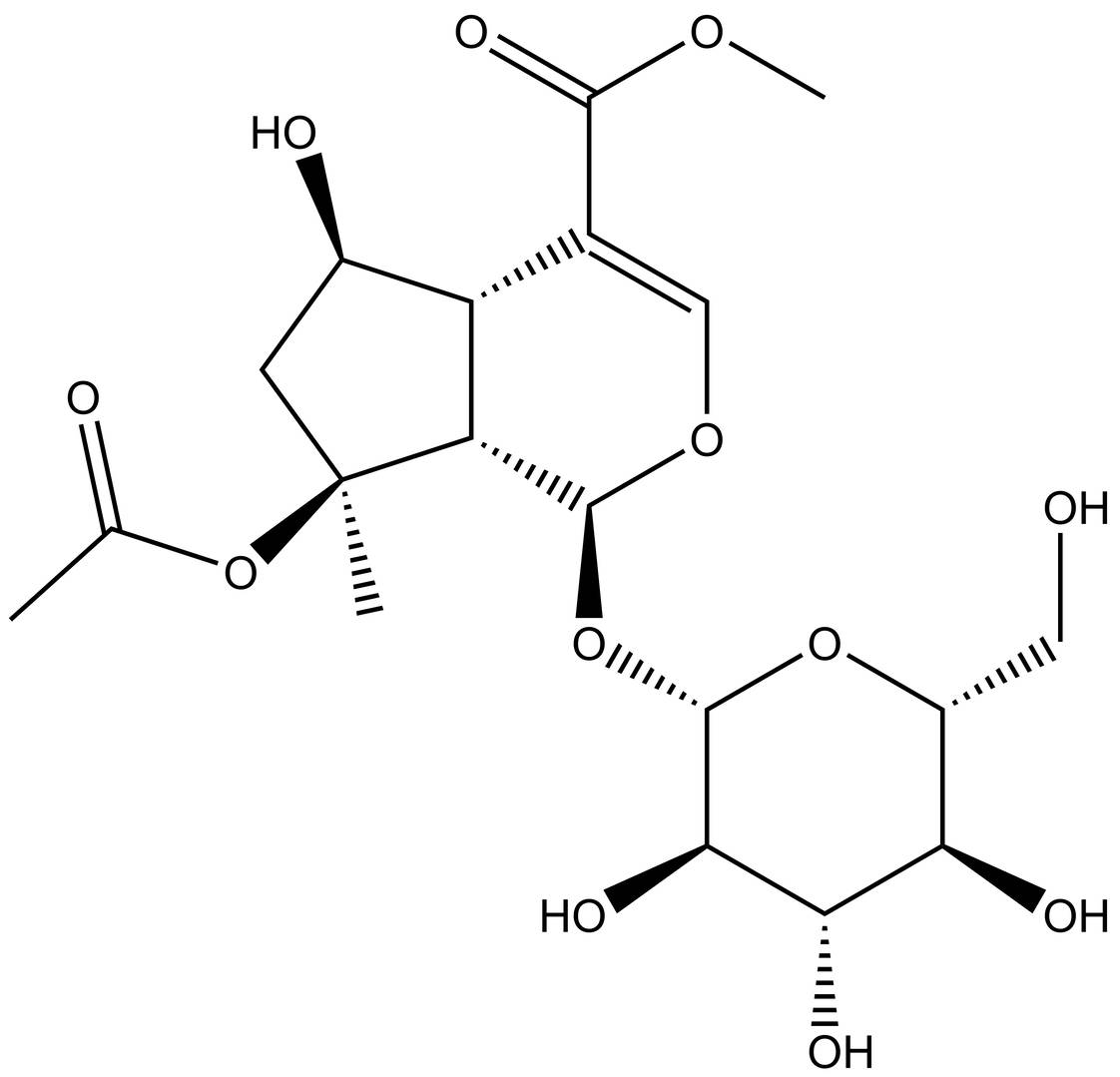 Barlerin