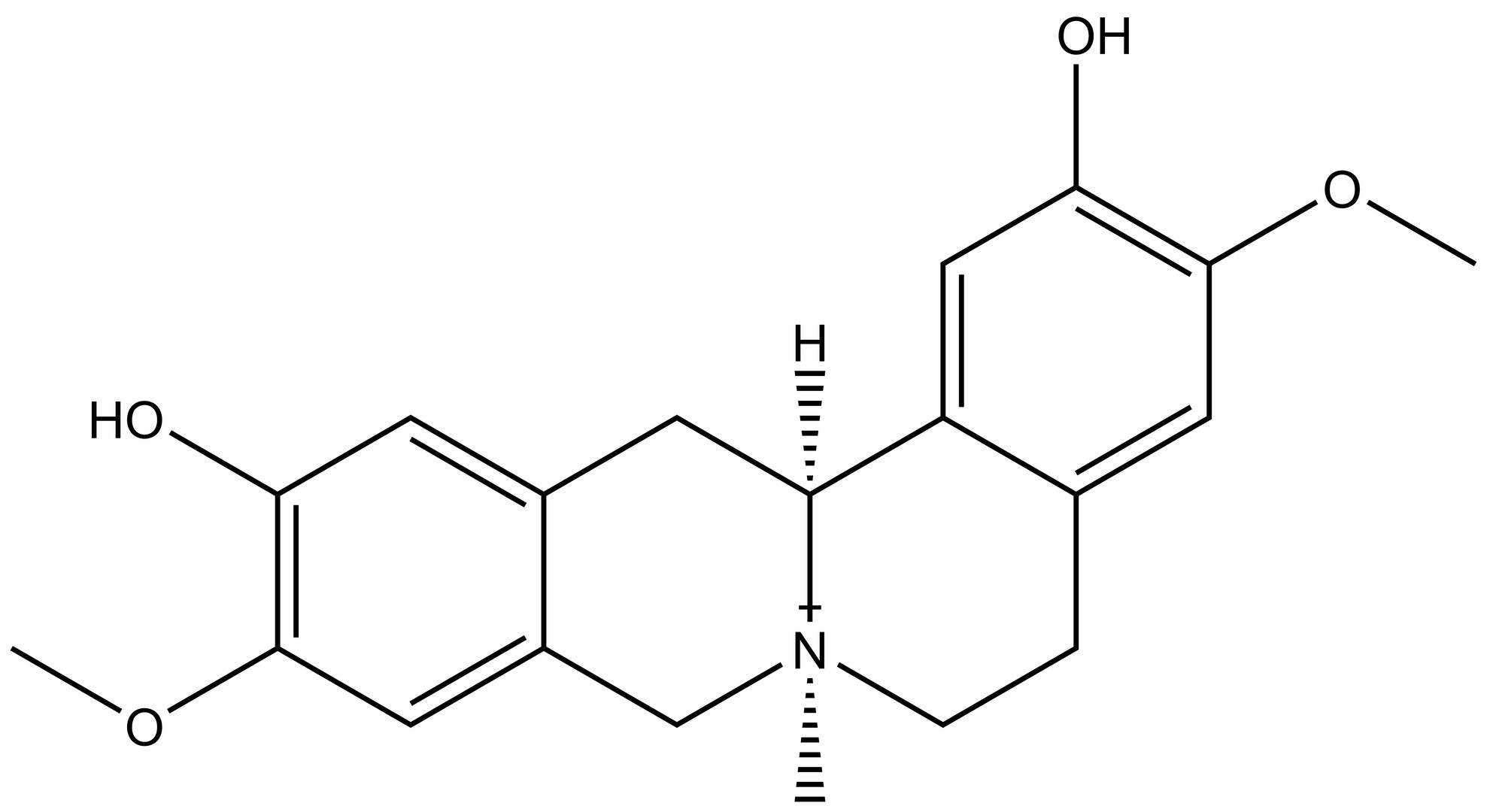 Phellodendrine