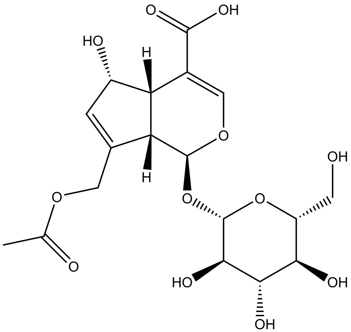 Asperulosidic acid