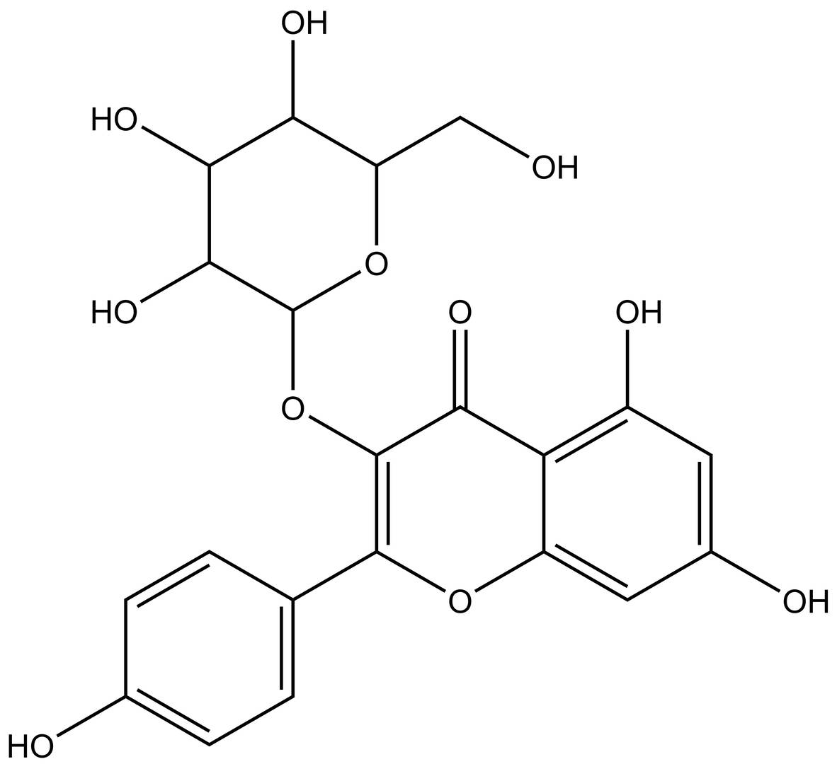 Astragalin