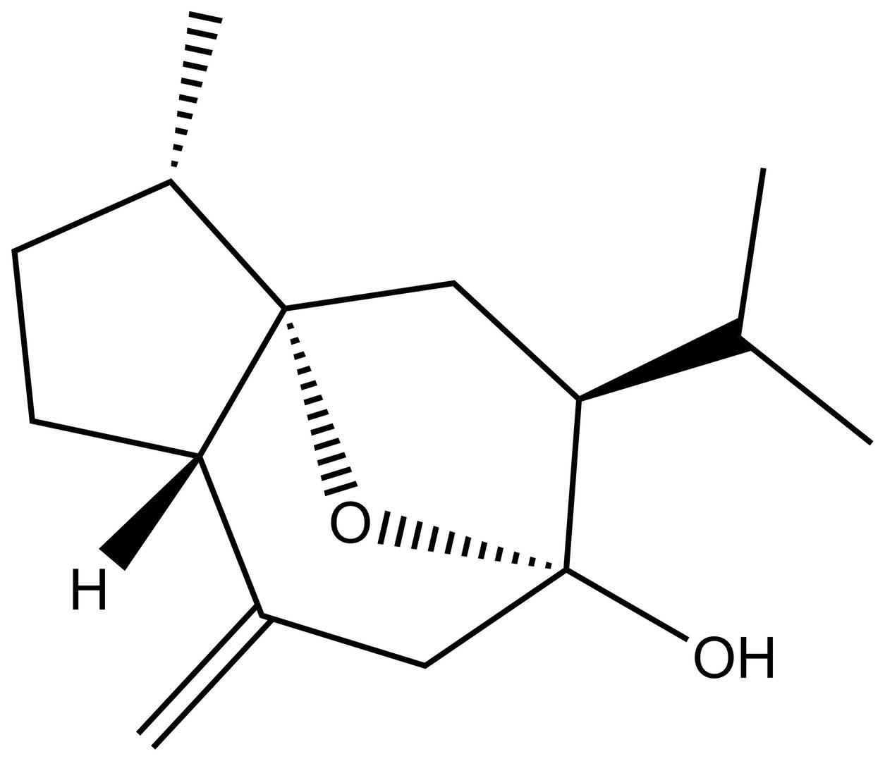 Curcumol