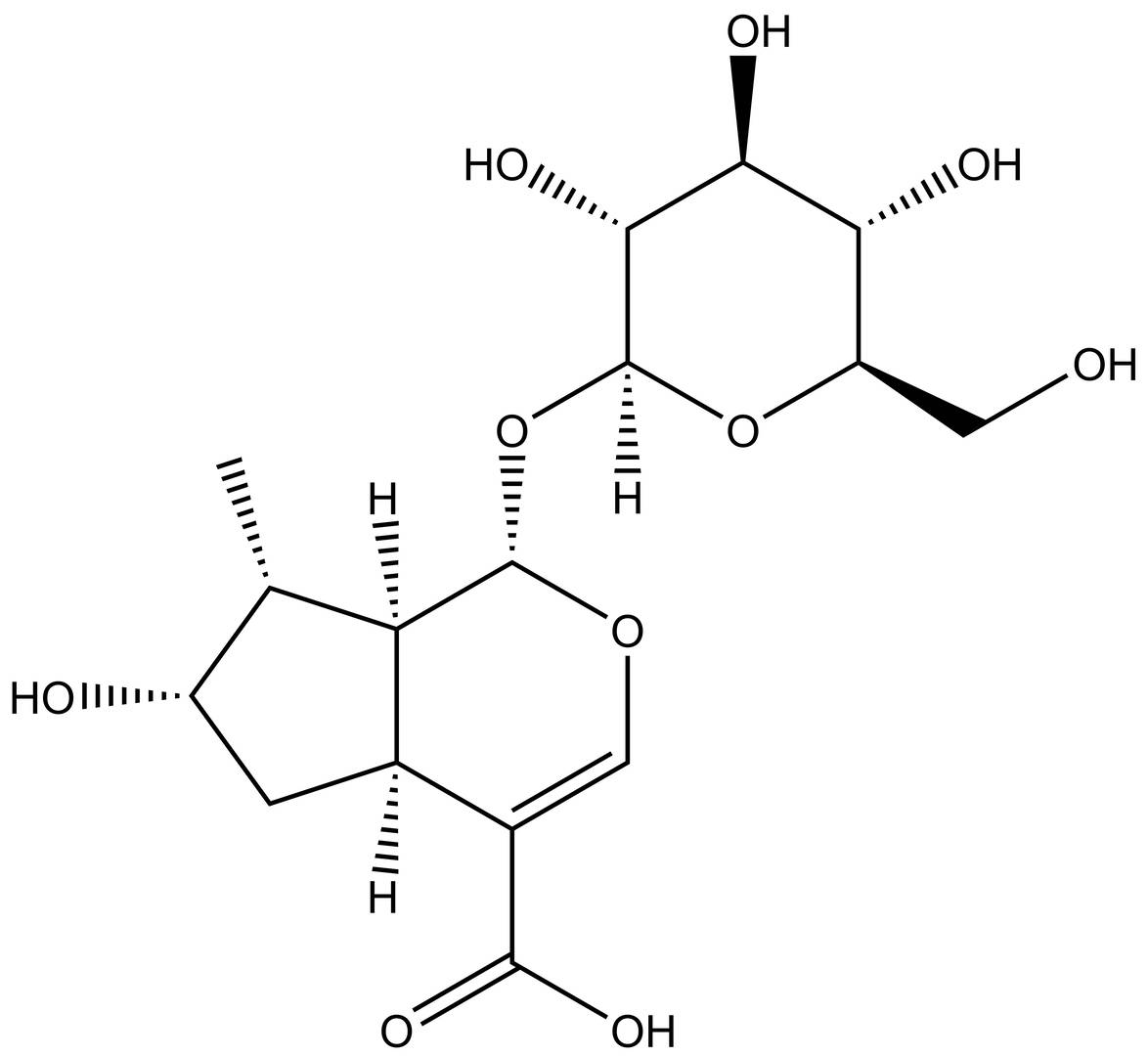 Loganic acid