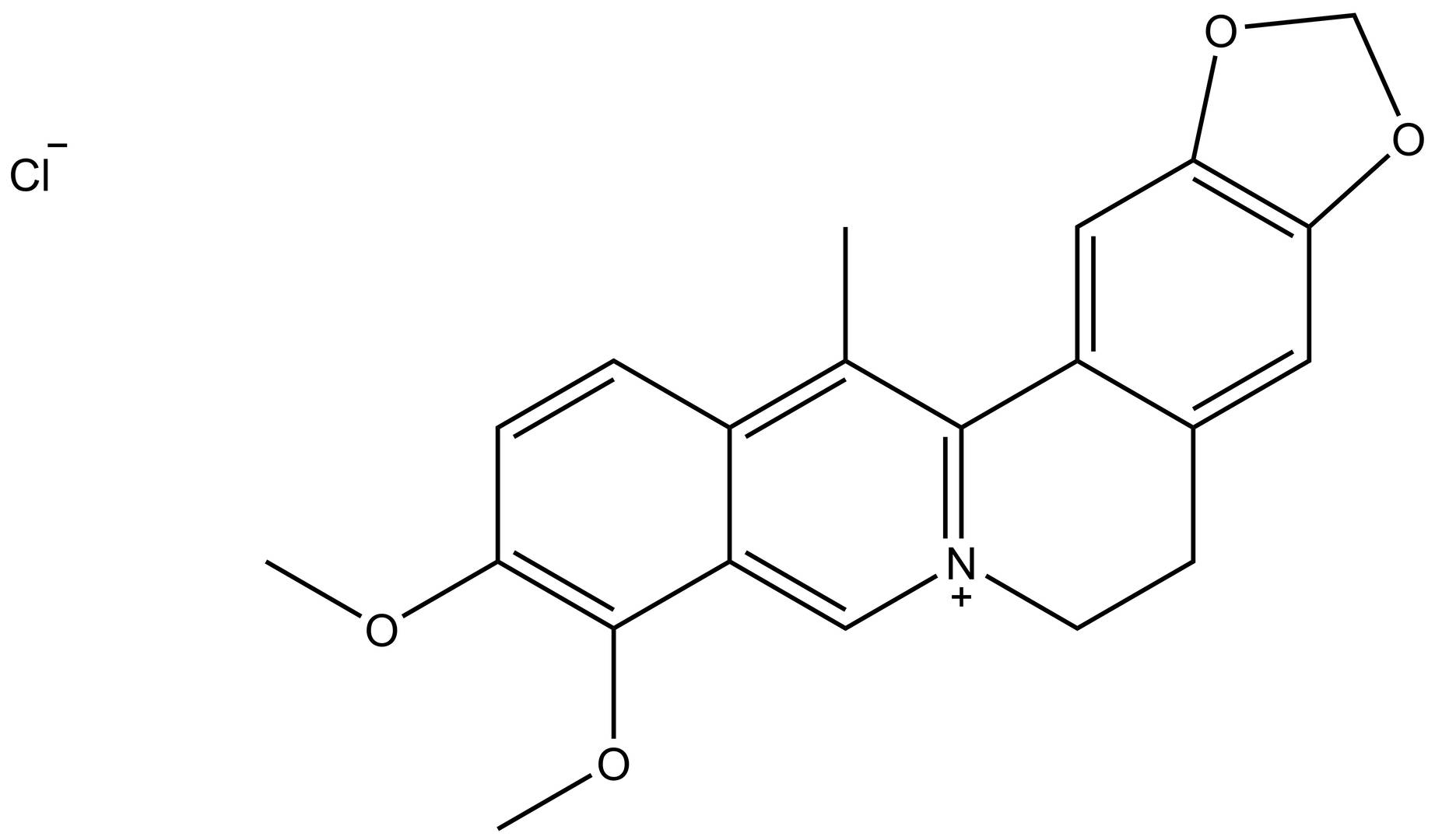 13-Methylberberine chloride