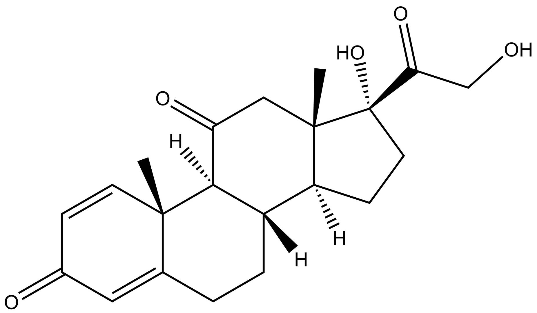 Prednisone (NSC-10023)