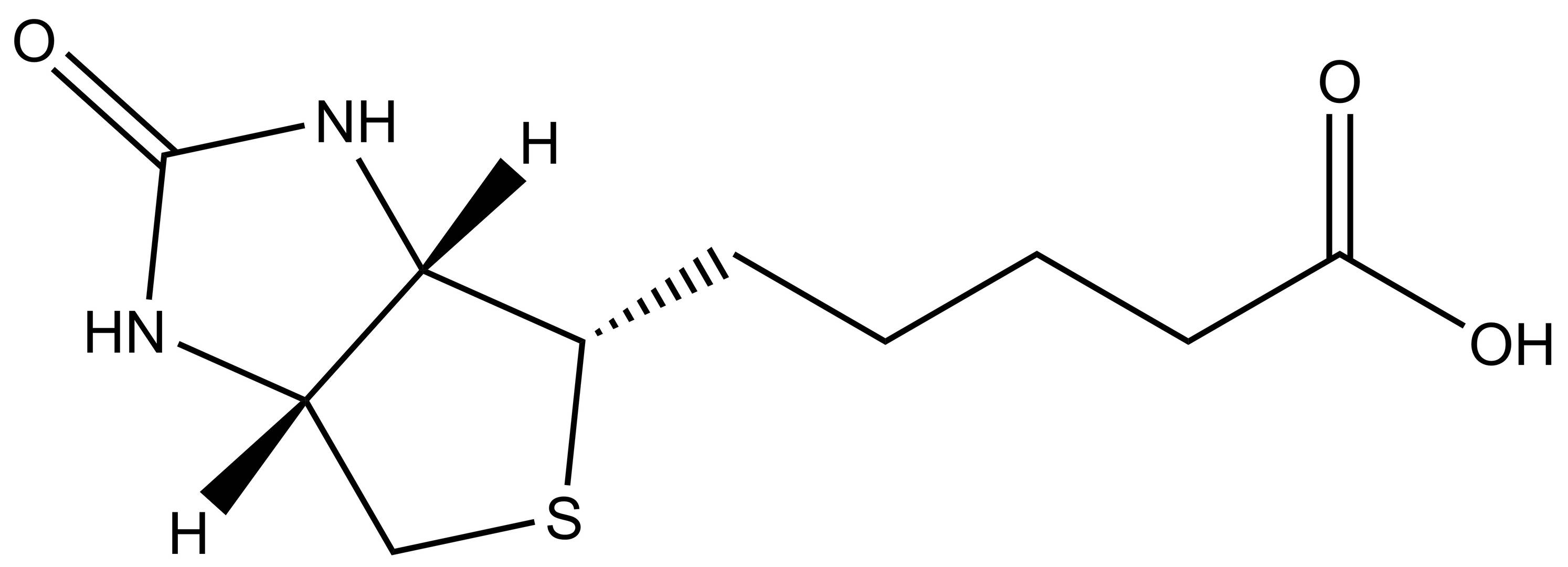 Biotin (Vitamin B7)