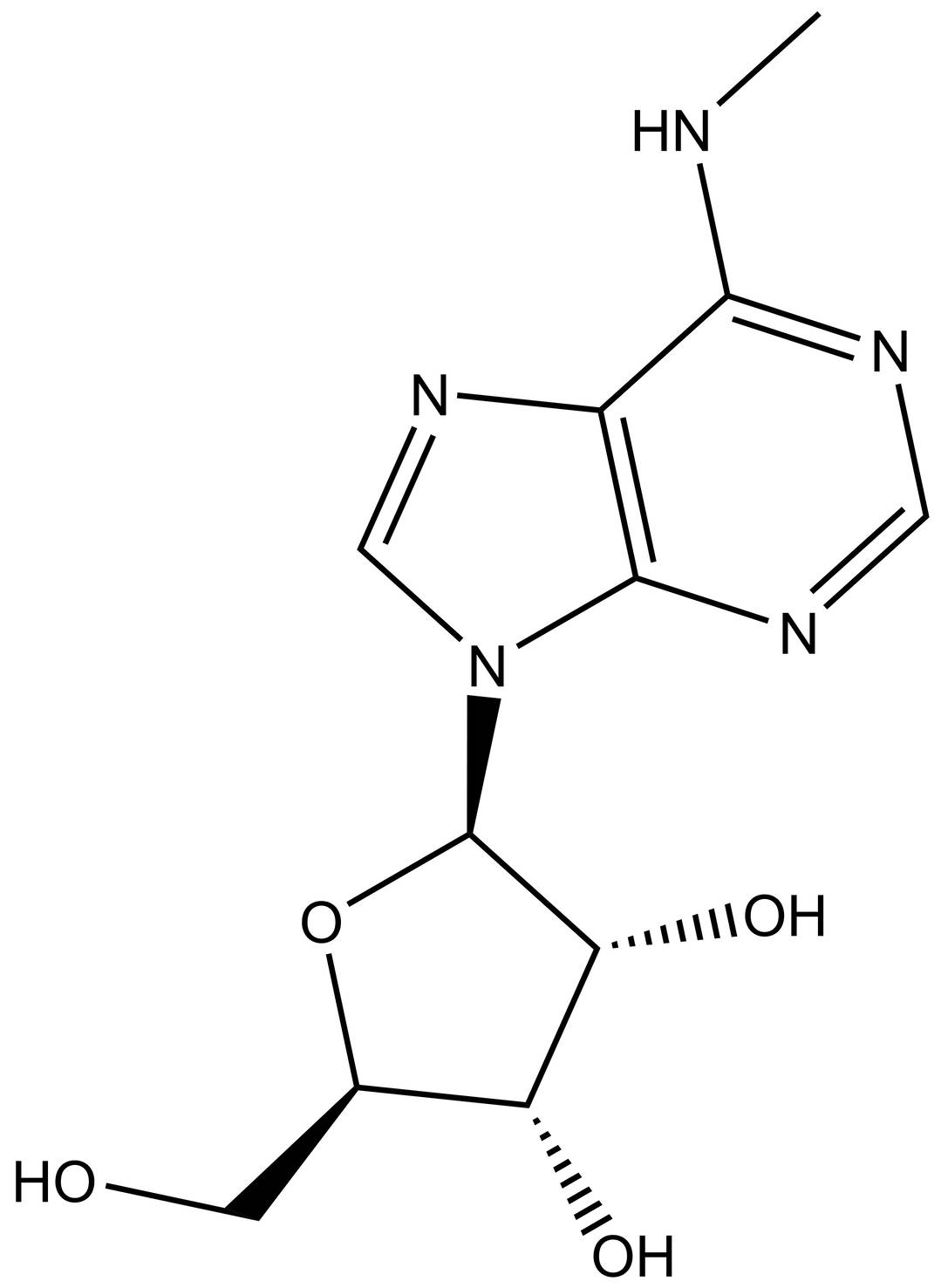 N6-methyladenosine (m6A)