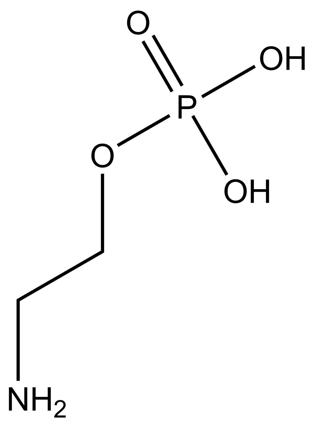 <i>O</i>-Phosphoethanolamine