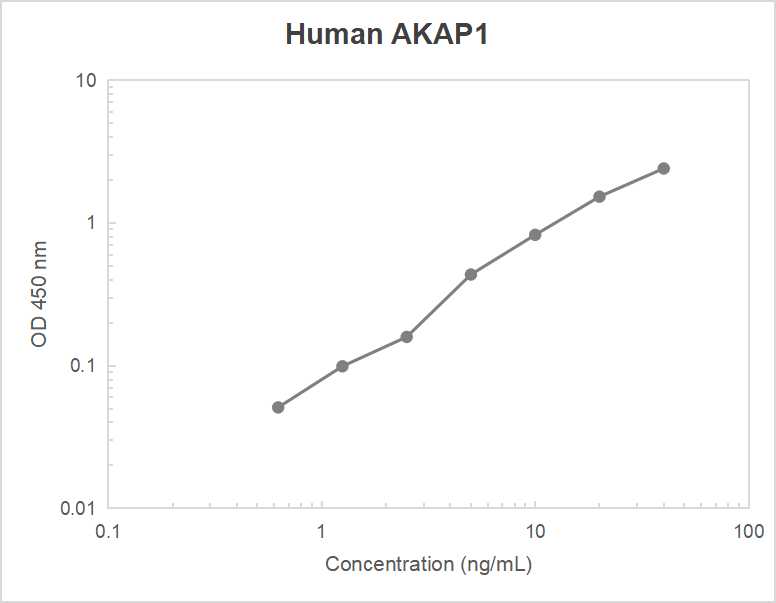 Human A kinase anchor protein 1 (AKAP1) ELISA kit (0.625-40 ng/mL)