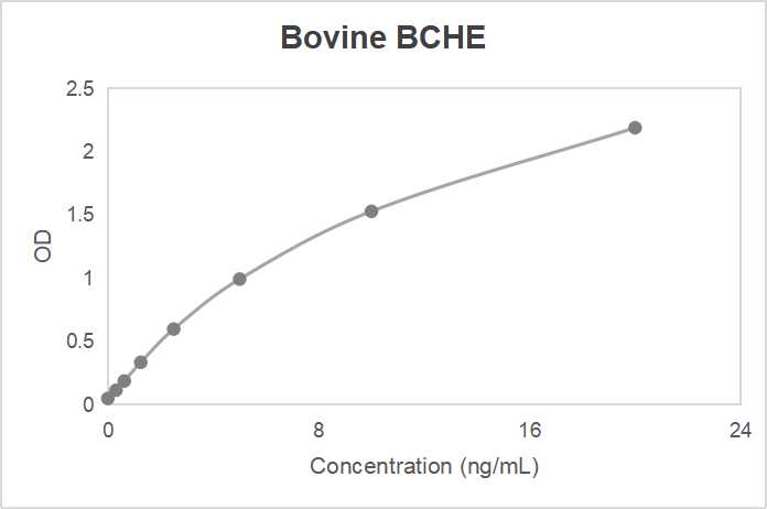 Bovine butyrylcholinesterase (BCHE) ELISA kit