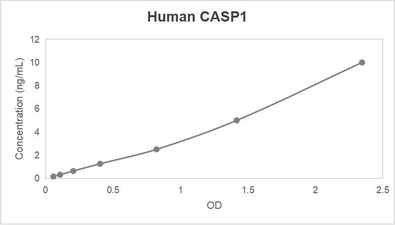 Human caspase 1 (CASP1) ELISA kit