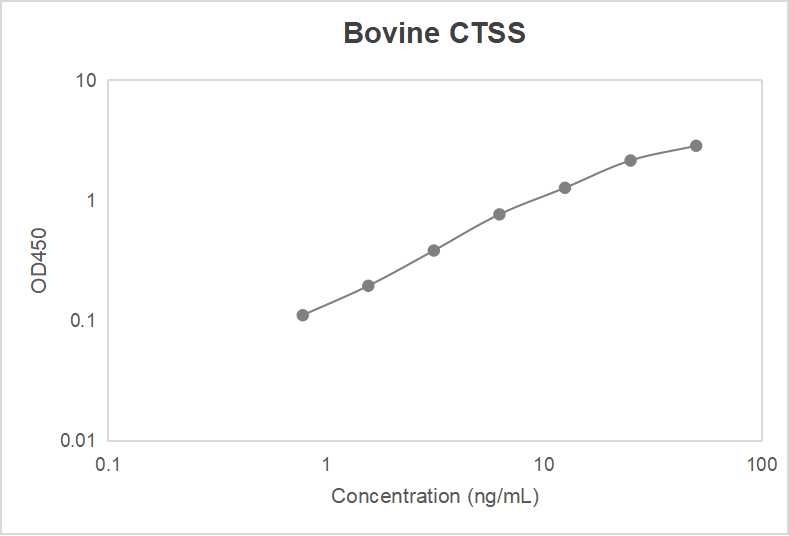 Bovine cathepsin S (CTSS) ELISA kit (0.78-50 ng/mL)