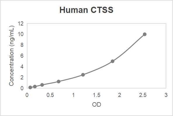 Human cathepsin S (CTSS) ELISA kit (0.156-10 ng/mL, 0.063 ng/mL)