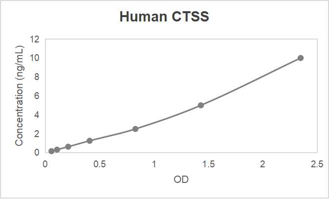 Human cathepsin S (CTSS) ELISA kit (0.156-10 ng/mL, 0.066 ng/mL)