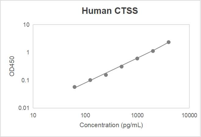 Human cathepsin S (CTSS) ELISA kit (62.5-4000 pg/mL, 10 pg/mL)