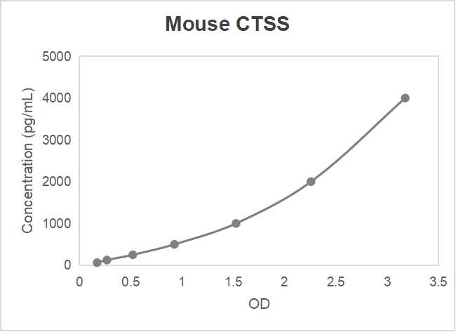 Mouse cathepsin S (CTSS) ELISA kit (31.2-2000 pg/mL, 12.2 pg/mL)