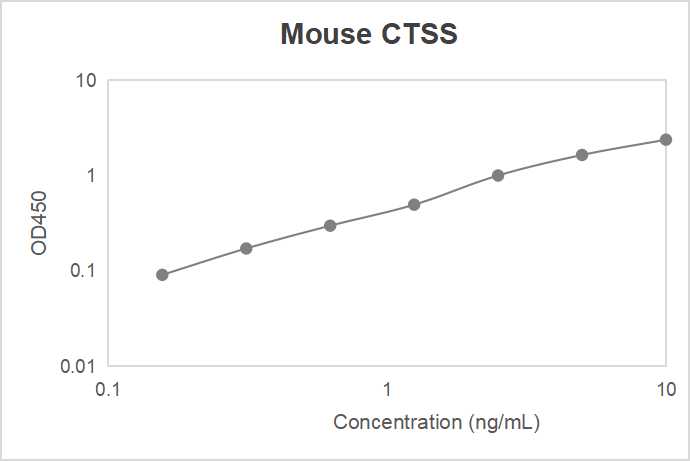 Mouse cathepsin S (CTSS) ELISA kit