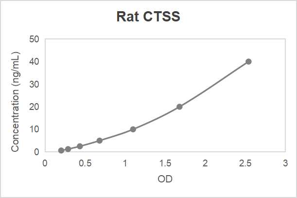 Rat cathepsin S (CTSS) ELISA kit (62.5-4000 pg/mL)