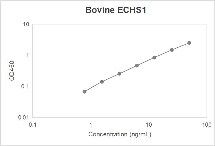Bovine enoyl coenzyme A hydratase, short chain, 1, mitochondrial (ECHS1) ELISA kit (0.78-50 ng/mL)