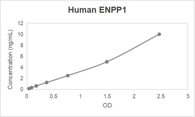 Human ectonucleotide pyrophosphatase/phosphodiesterase-1 (ENPP1) ELISA kit (0.156-10 ng/mL, < 0.063 ng/mL)
