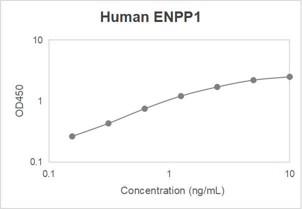 Human ectonucleotide pyrophosphatase/phosphodiesterase-1 (ENPP1) ELISA kit (78-5000 pg/mL)