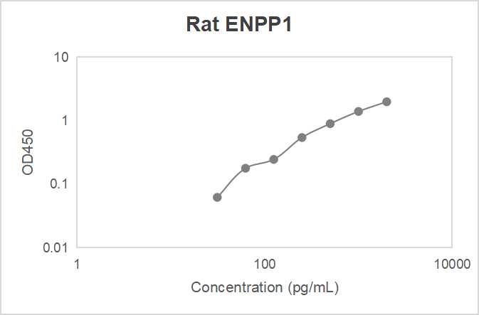 Rat ectonucleotide pyrophosphatase/phosphodiesterase-1 (ENPP1) ELISA kit (31.2-2000 pg/mL)