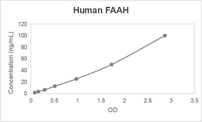 Human fatty-acid amide hydrolase (FAAH) ELISA kit (1.56-100 ng/mL)