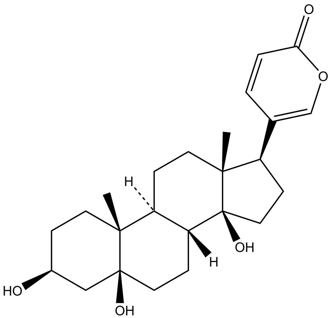 Telocinobufagin
