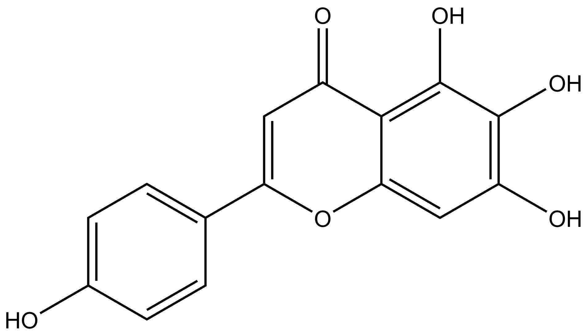 Scutellarein