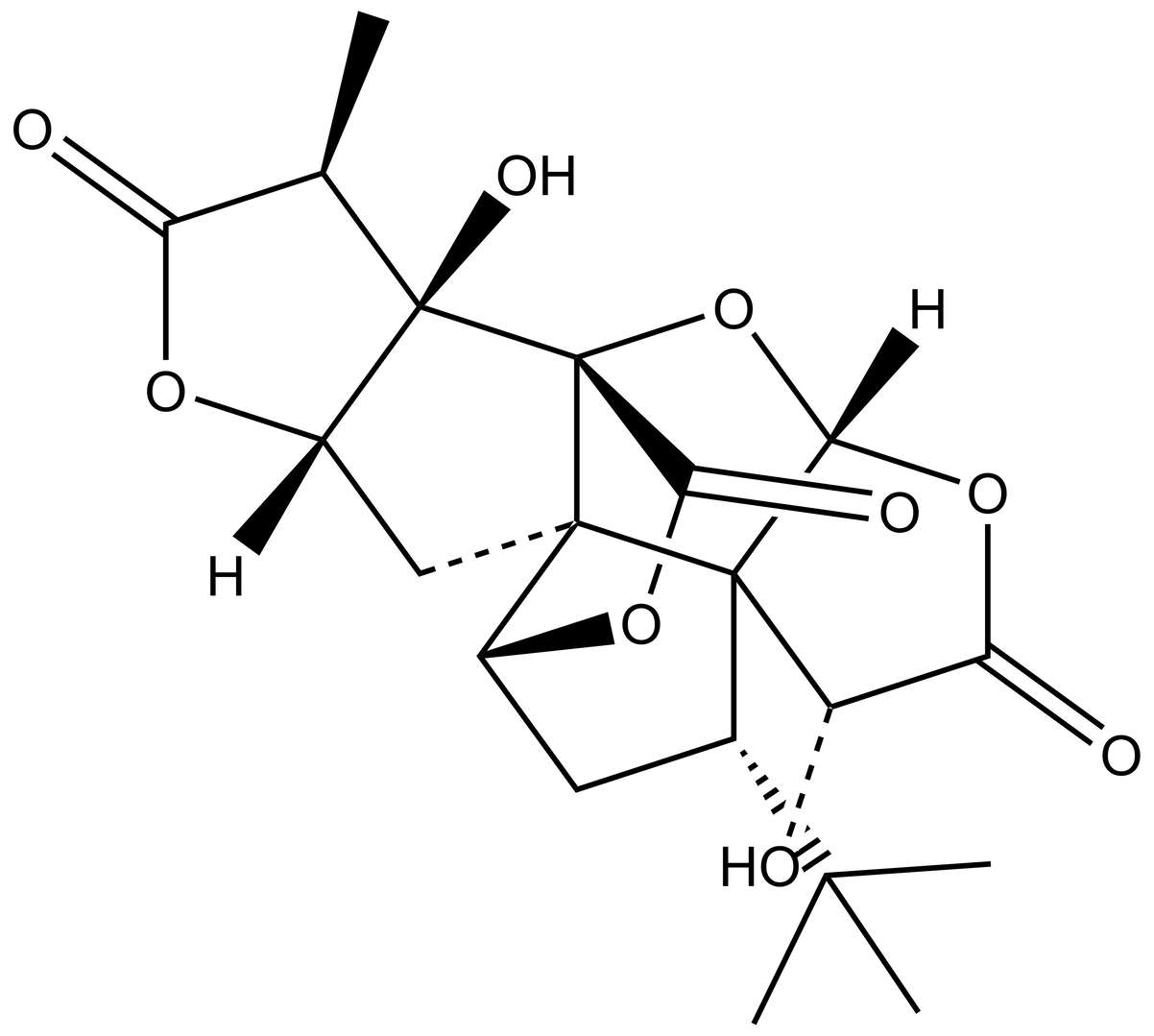 Ginkgolide A