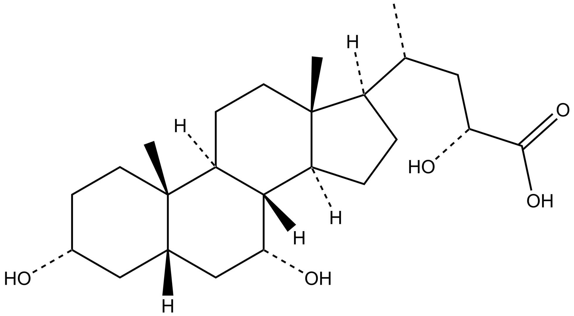Phocaecholic acid