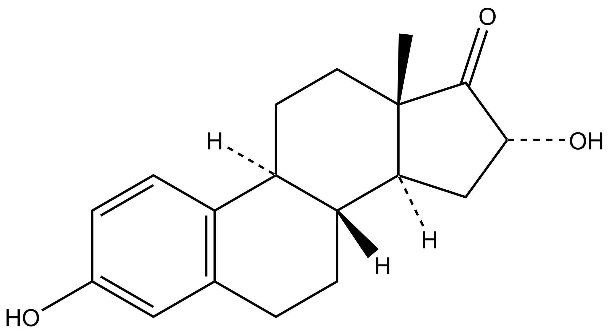 16α-hydroxy Estrone