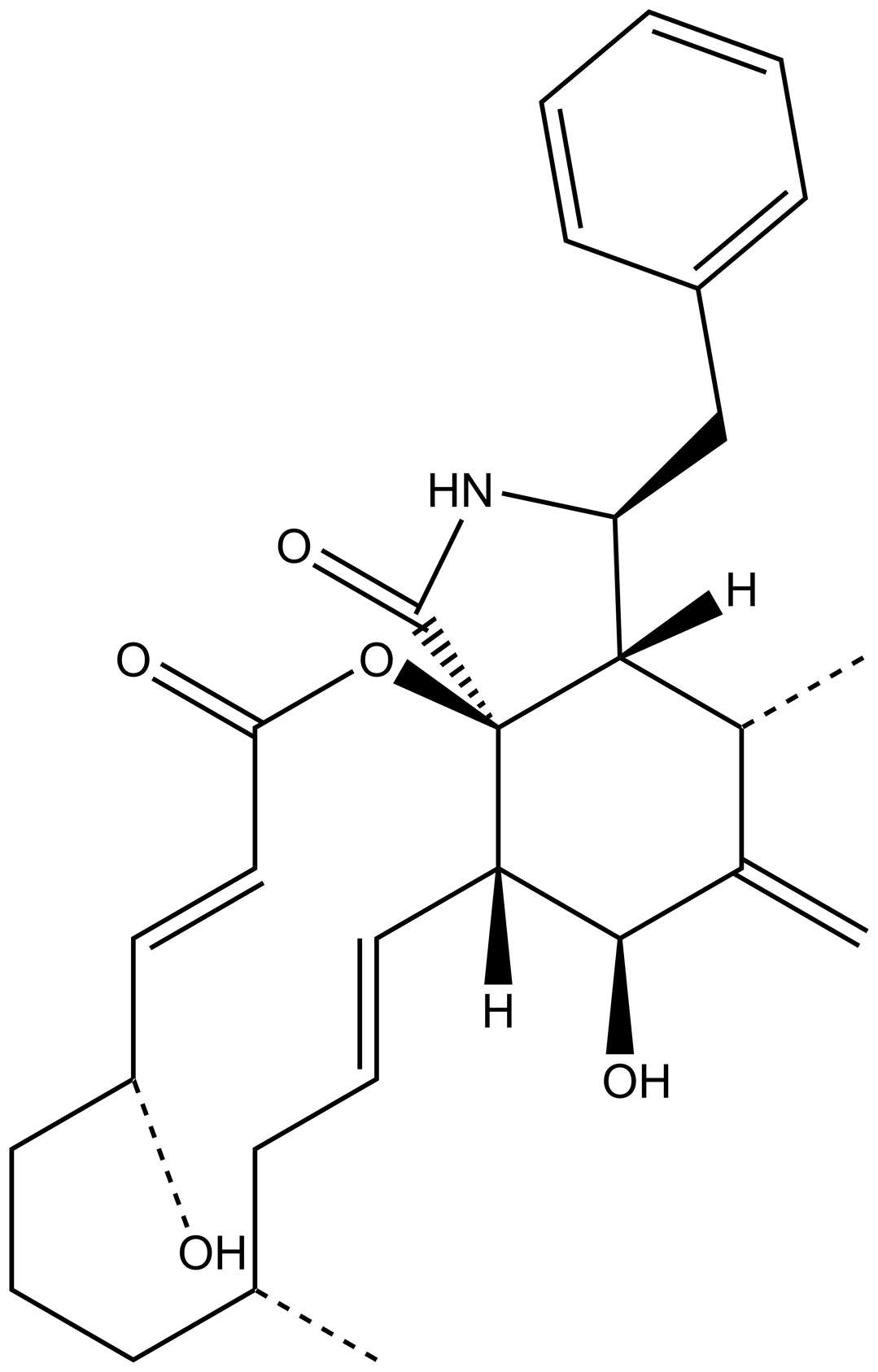 Cytochalasin B