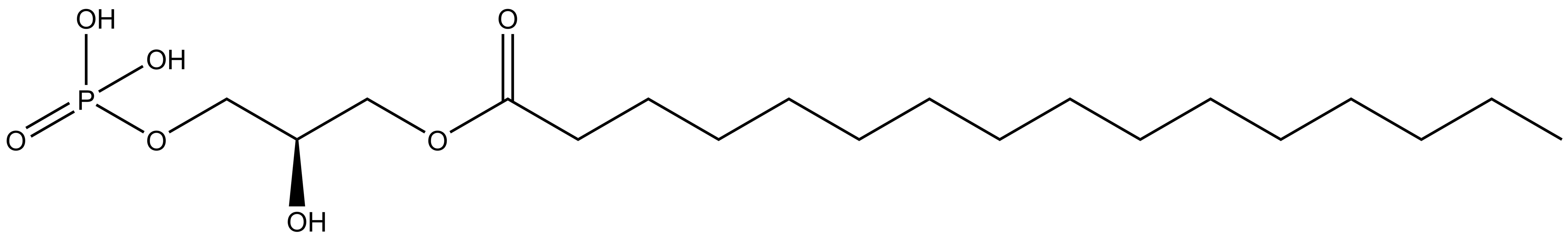 1-Palmitoyl-2-hydroxy-sn-glycero-3-PA