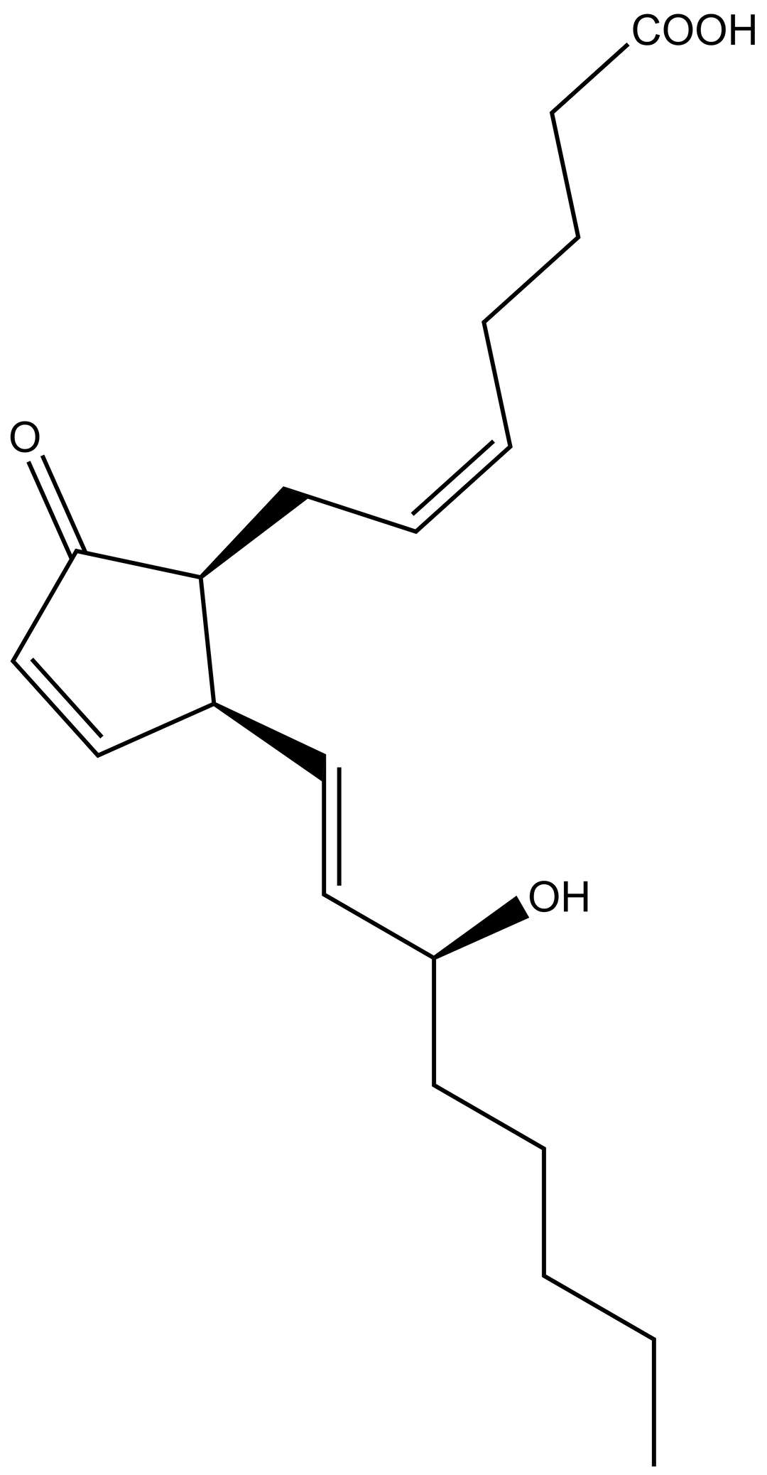 8-iso PGA2