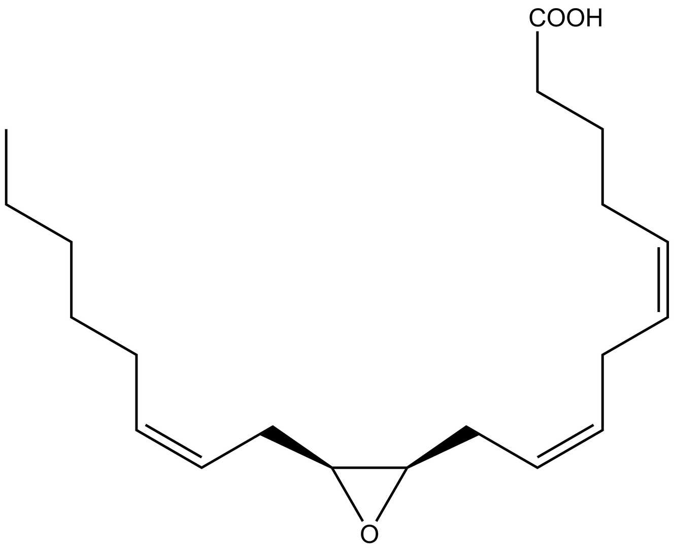 11R(12S)-EET