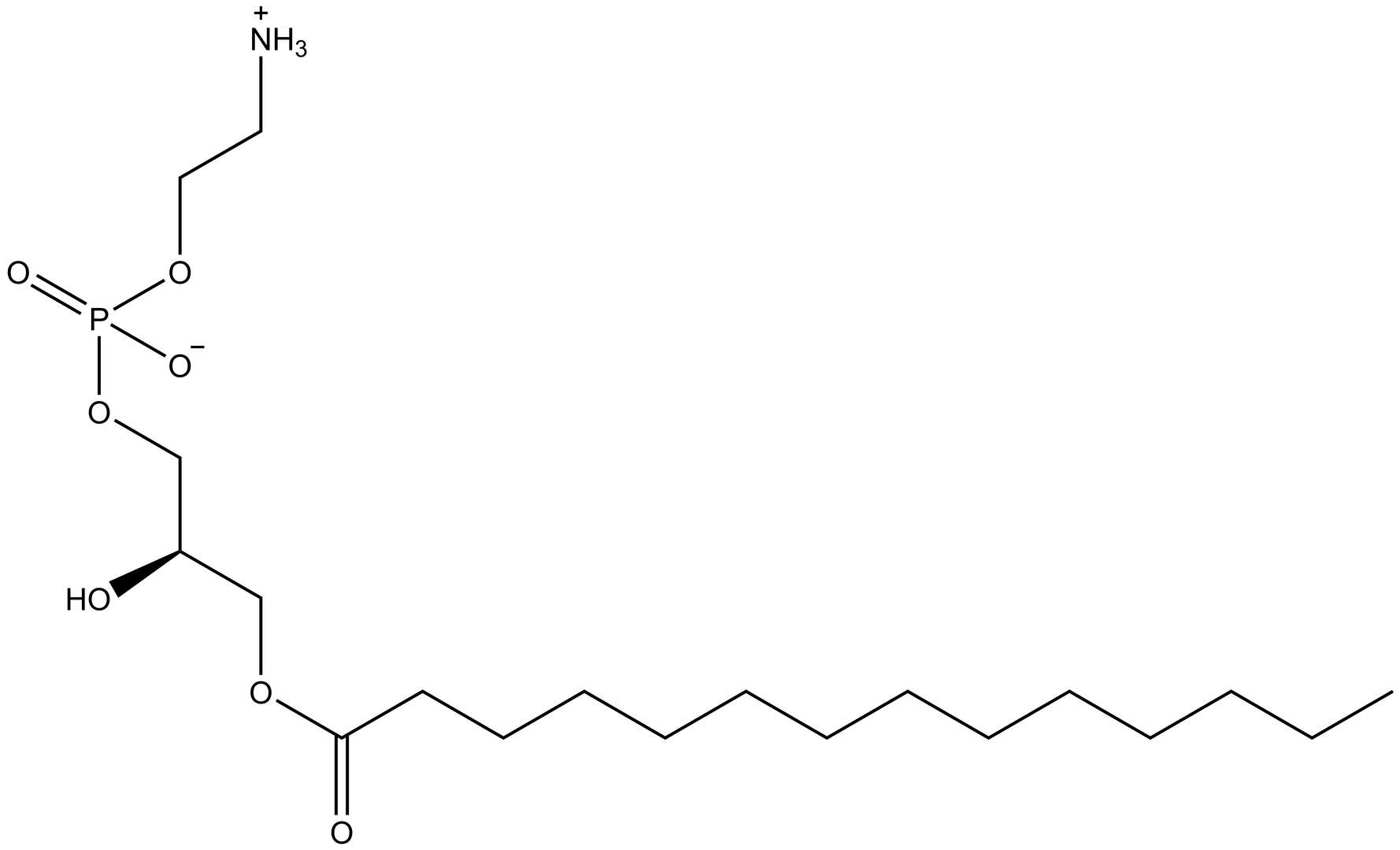 1-Myristoyl-2-hydroxy-sn-glycero-3-PE