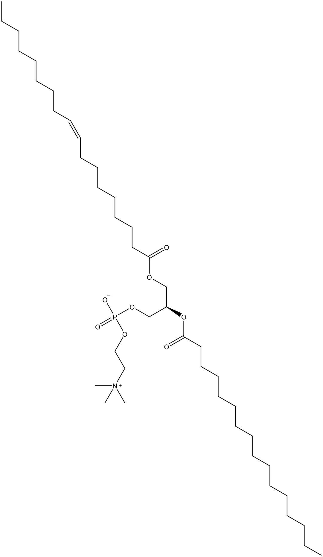 1-Oleoyl-2-Palmitoyl-sn-glycero-3-PC