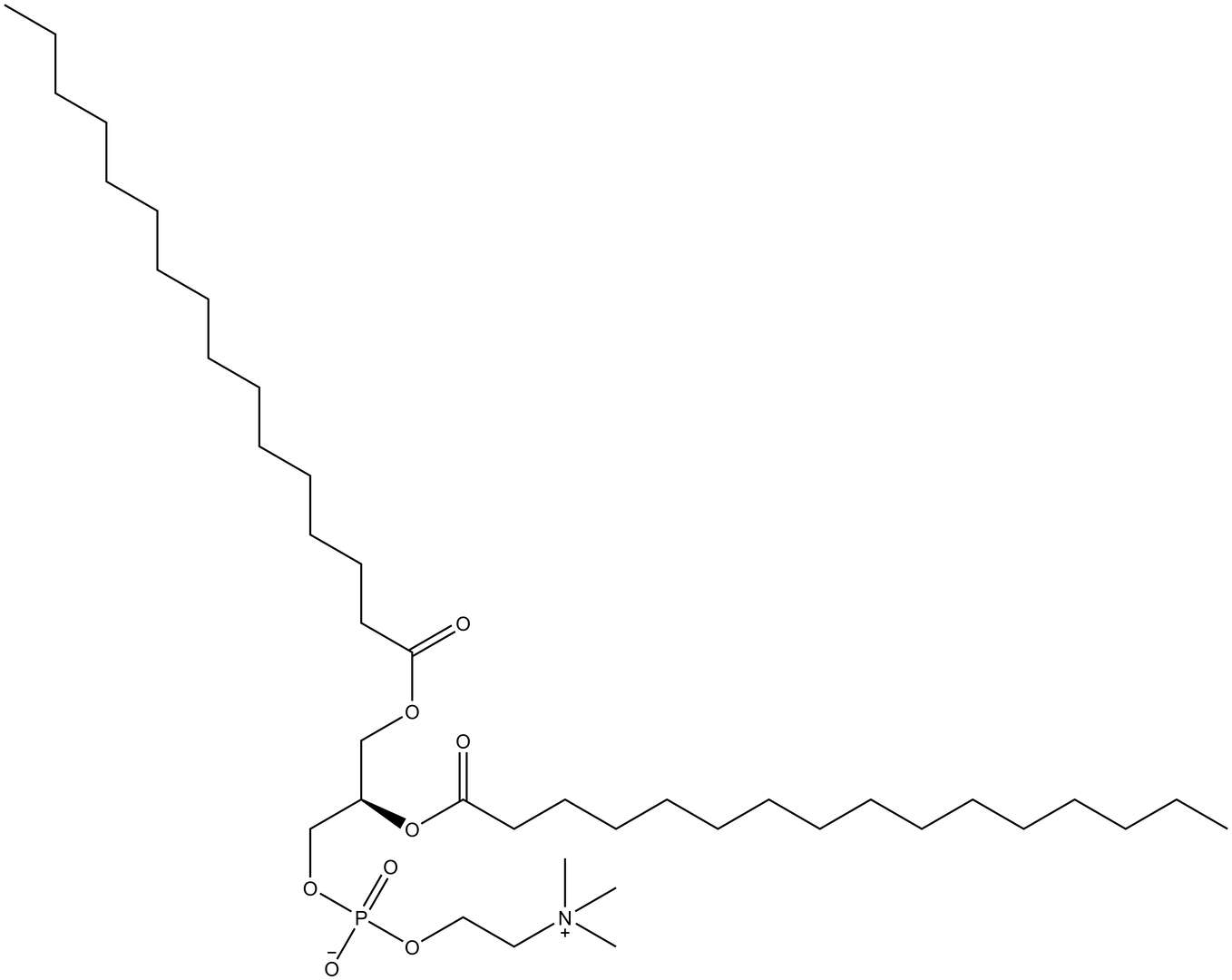 1,2-Dipalmitoyl-sn-glycero-3-PC