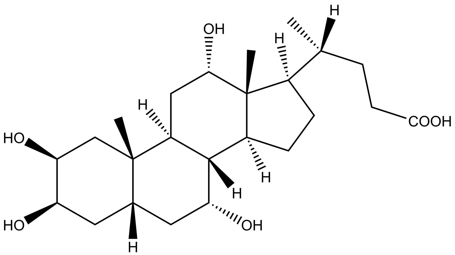 2β,3β,7α,12α-THBA