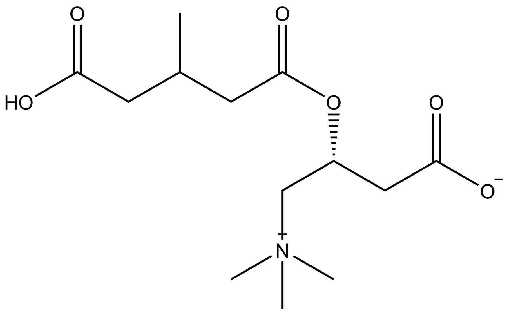 3-Me-Glutaryl Carnitine