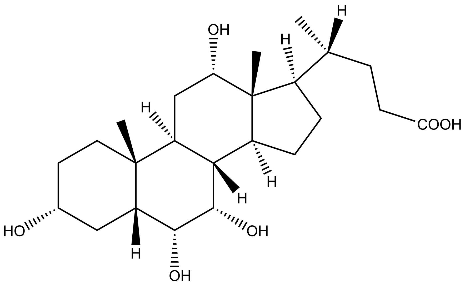 3α,6α,7α,12α-tetrahydroxy bile acid (THBA)